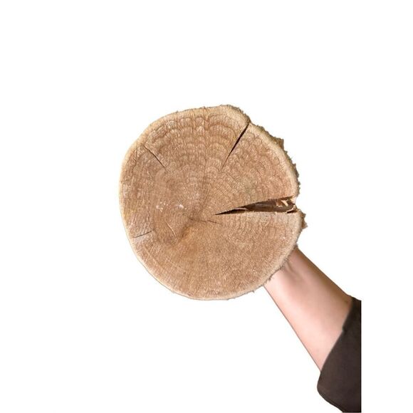 Driftwood 21" Beach Decor Art Deco Metal Dolphin Sculpture - Picture 5 of 6